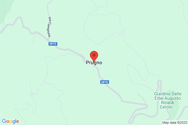 La Nuova Prugna Di Iorio & C. s.N.C.
