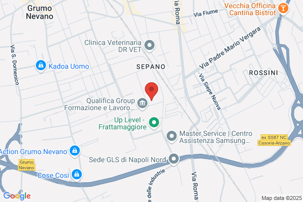 Marketing Agency Sasdi Vittorioso Assunta E C.