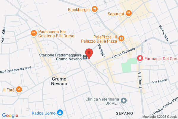 A. Vespucci School
