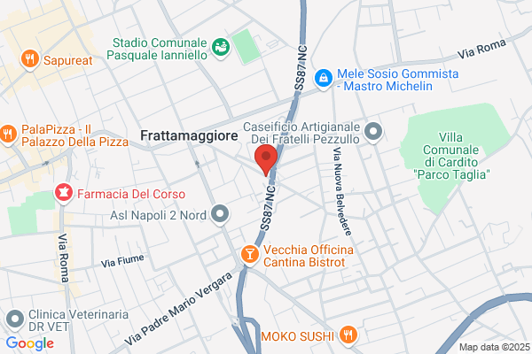 Obliato felina