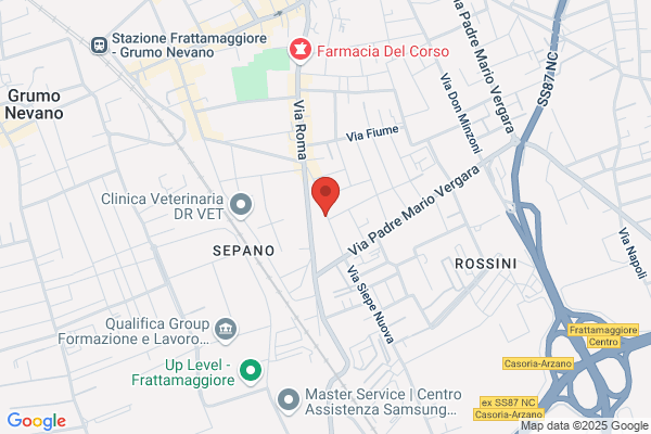 Spena sossio (Dr.)