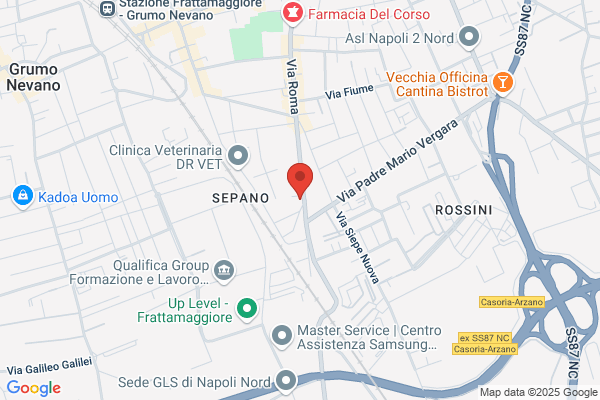 Varricchio antonio (Prof. Dr.)