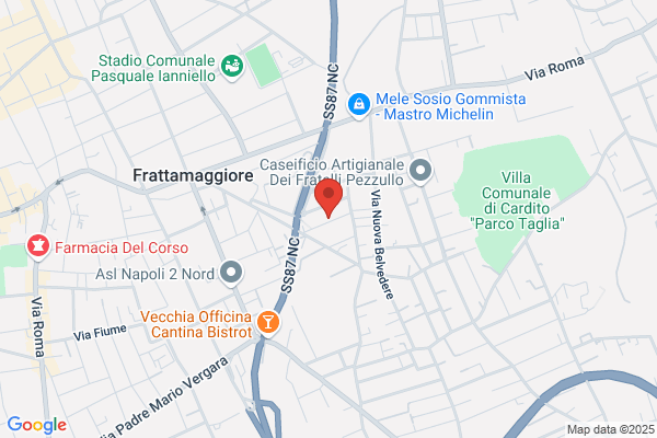 Surgelati Di Canciello Sas