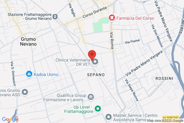 Istituto Tecnico Commerciale G. Spadolini