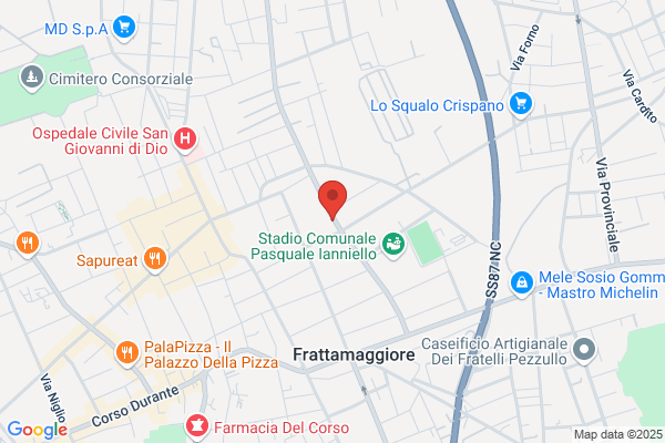 Tecame rocco (Dr.)