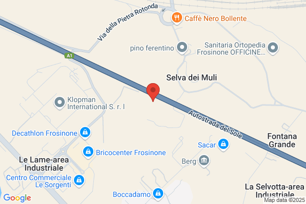 Istituto Di Vigilanza Metropol Frosinone S.R.L.