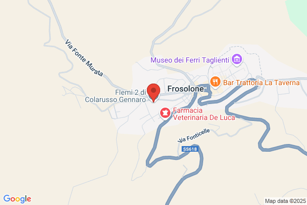 Flemi 2 di Colarusso Gennaro Srl