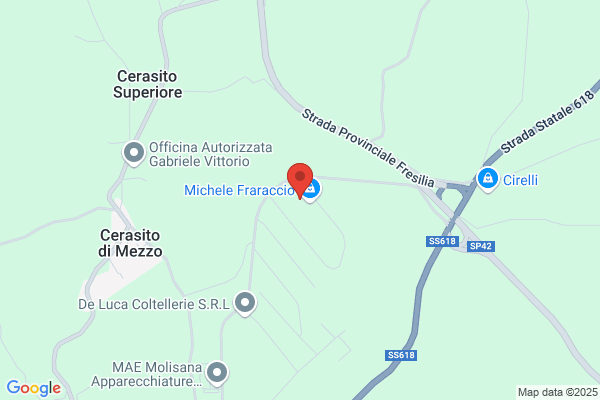 Fazioli Franco