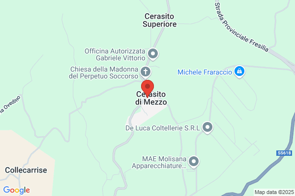 Prioletta nicola