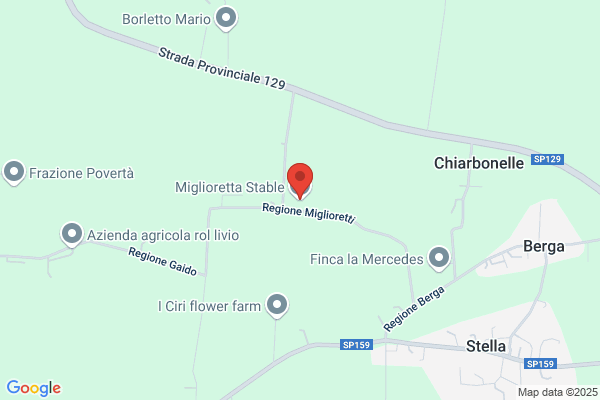 Miglioretta Stable