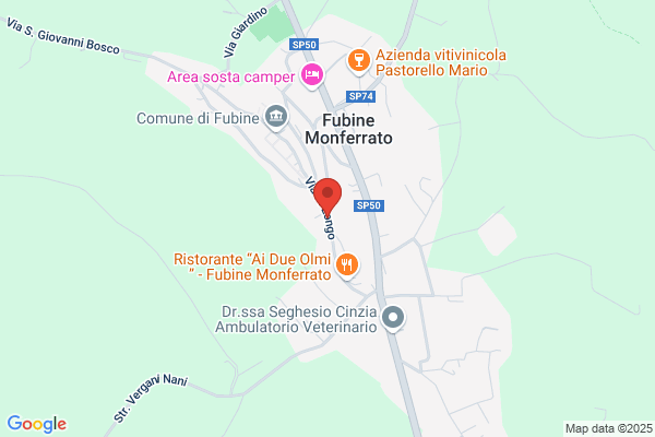 Vergano ferdinando
