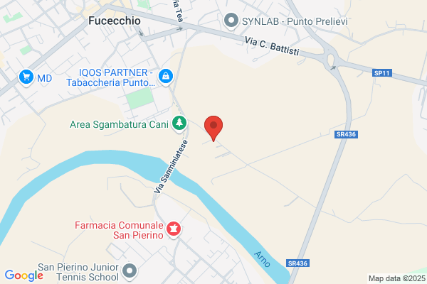 Faraoni Anselmo