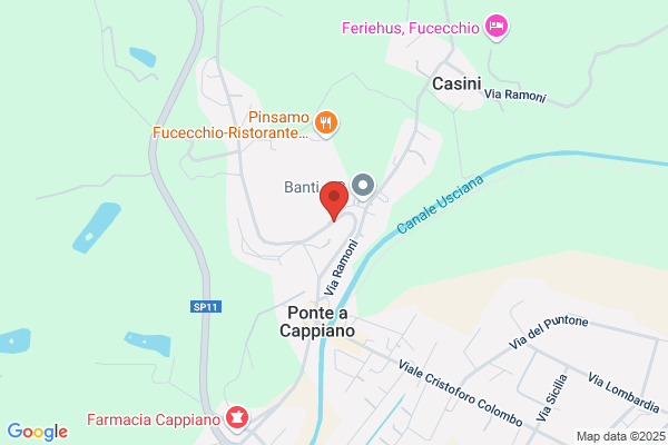 Santosuosso enrico