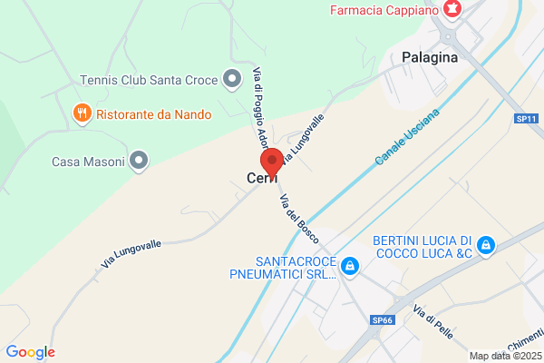Cerri'S Bar Pizzeria