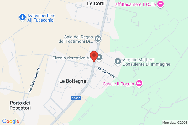 La Camomilla Di Casini Federica