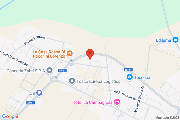 Toscoautomatismi