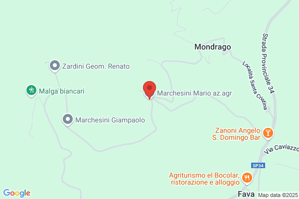 Marchesini giorgio