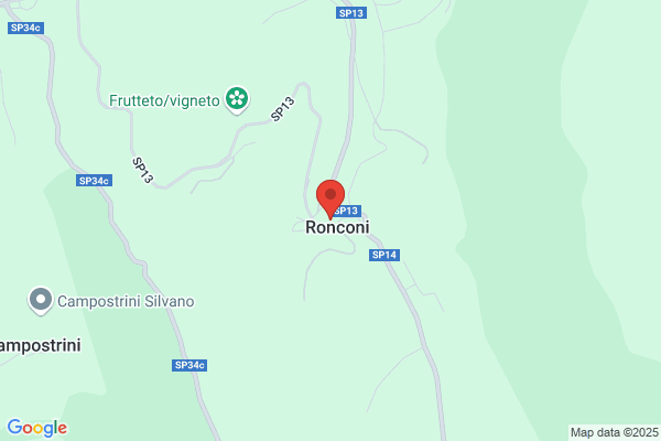 Ronconi nello