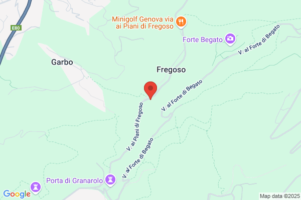 Esercizi Fregoso S.N.C.