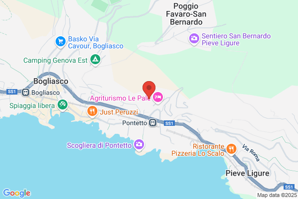 Cambiaso Viaggi (S.N.C.)