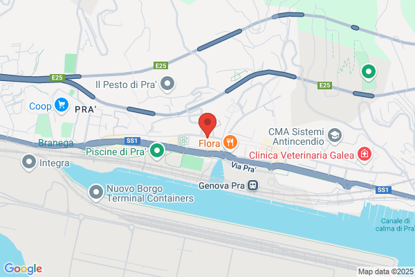 Opisso Di Leoncini Silvia