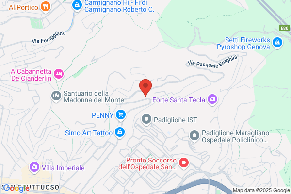 Scuole Pubbliche/Statali/Medie