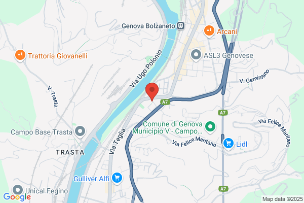 Scuole Pubbliche/Statali/Medie