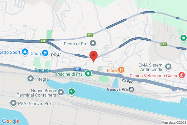 Scuole Pubbliche/Statali/Medie
