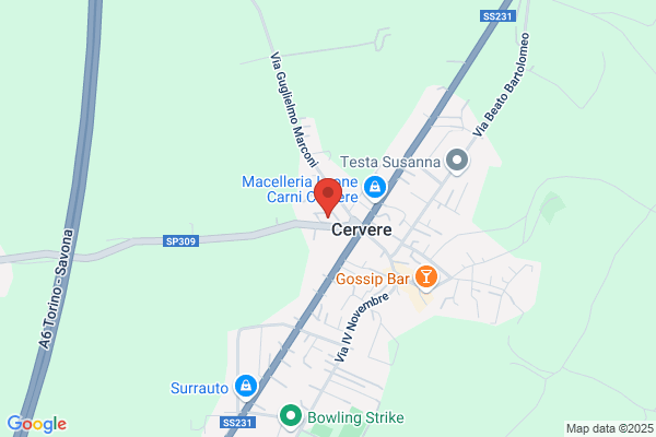 Siscom Di Basso Maria Carla & C. sas