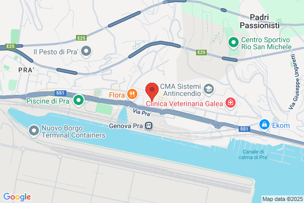 Suore Missionarie Della Caritadi Calcutta Pra