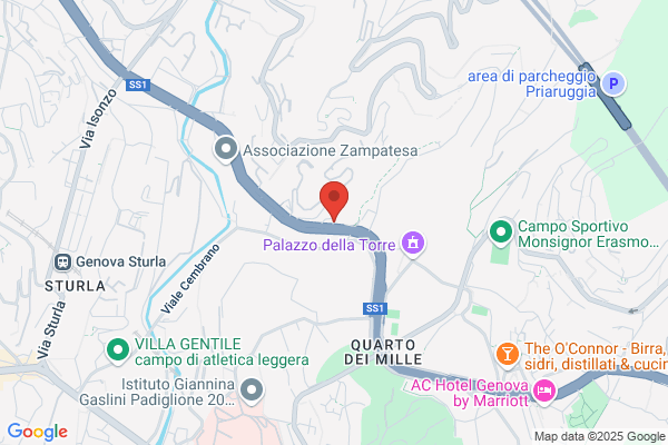 Il Forziere Di Mercadante Stefano