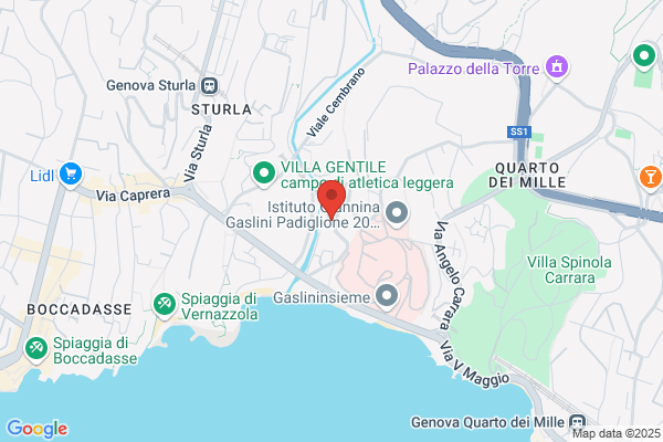 Ing. R. Boccardo Di Raffaele Boccardo & c. (S.A.S.)