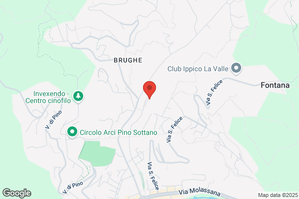 Estro Comunicazione E Immagine Srl