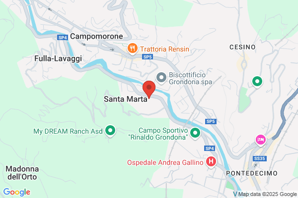 Morello Forni (S.A.S.)