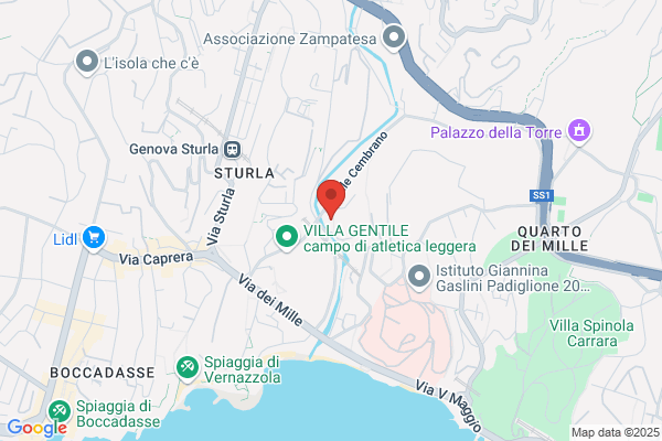 Tedde antonio (Cav.)