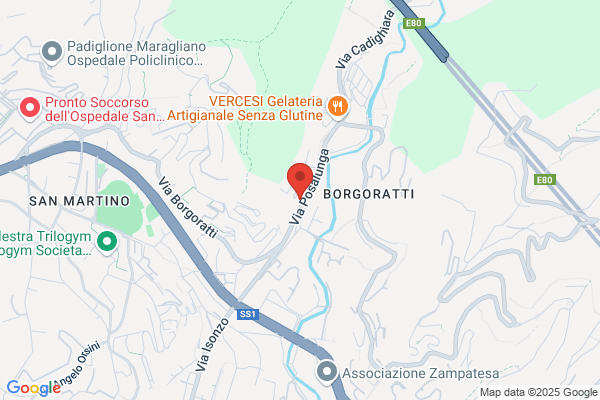 Selogni aldo