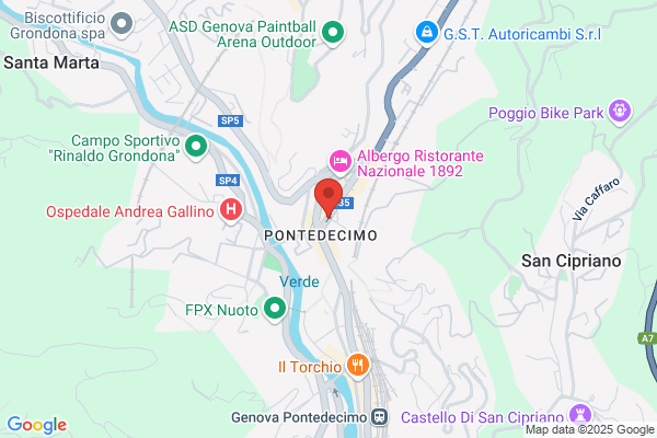 Gallino Gabriella
