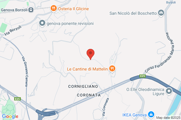 Rgm.Div.El.Sat. Di Ferrando Gb.
