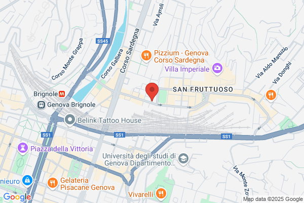 Penco fulvio (Geom.)