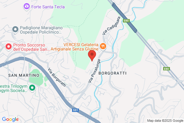 Guanci De Domenico Anna