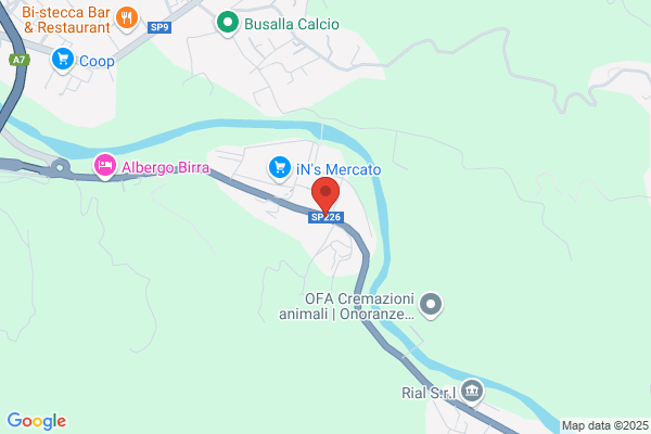 G.A.M. Paini Giuseppe E C Srl