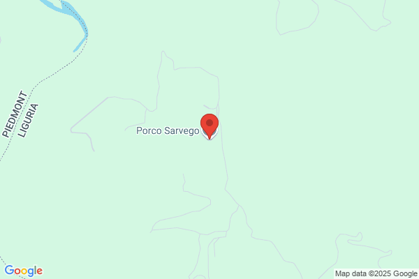 Porco vincenzo