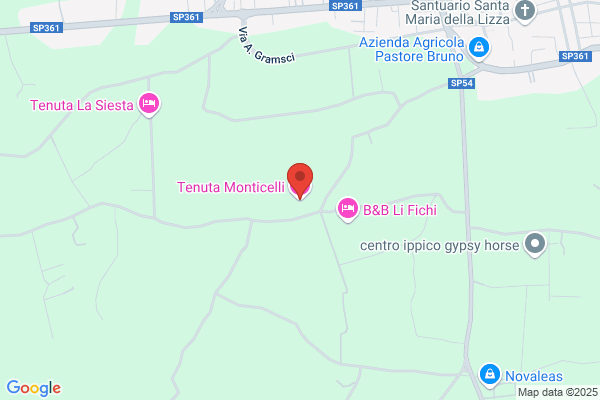 Monticelli palmina