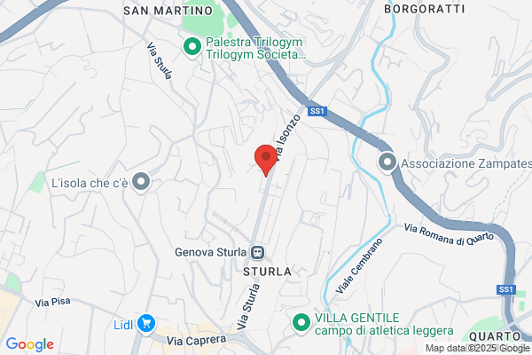 Vagge carlo