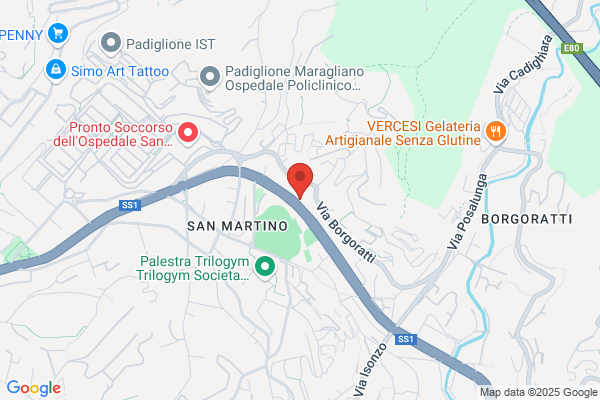 Pentadomus Srl