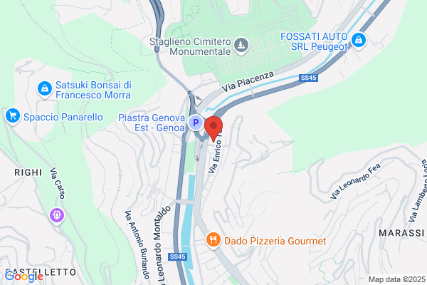 Pirisi enrico (Dr.)