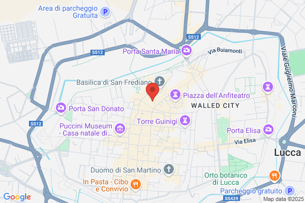 Torelli cesare (Dr.)