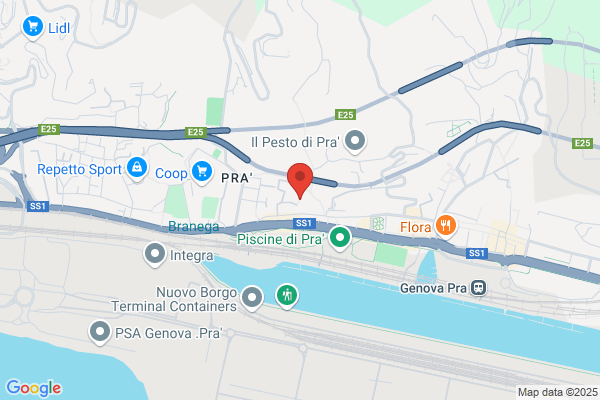 Il Saltapicchio Di Pollastro Paola