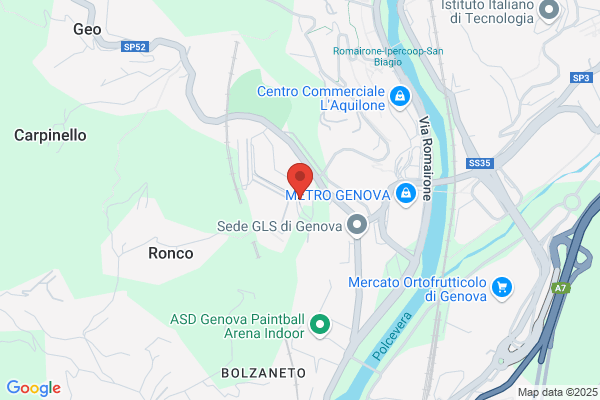 Ranieri Tonissi Spa