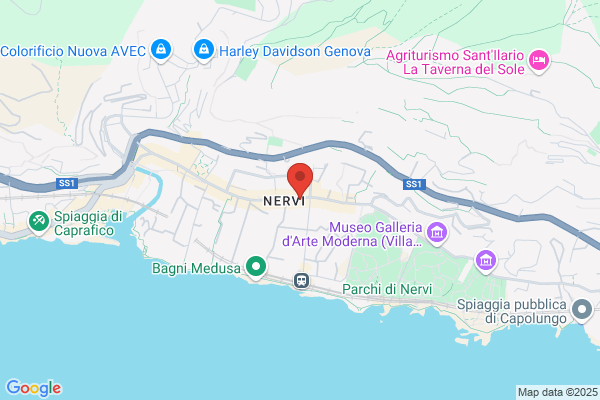 Ottica Prisma Nervi